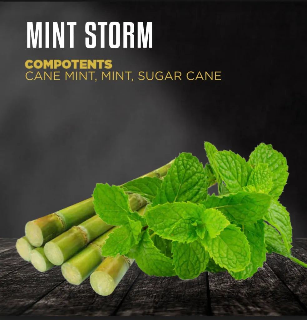 DOZAJ BLACK MINTSTORM