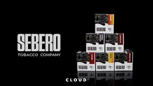 SEBERO